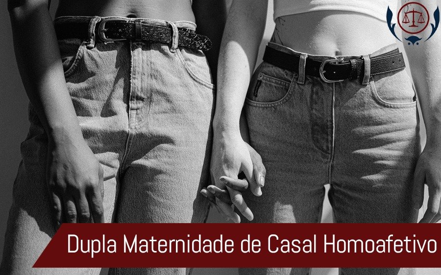 Dupla Maternidade de Casal Homoafetivo